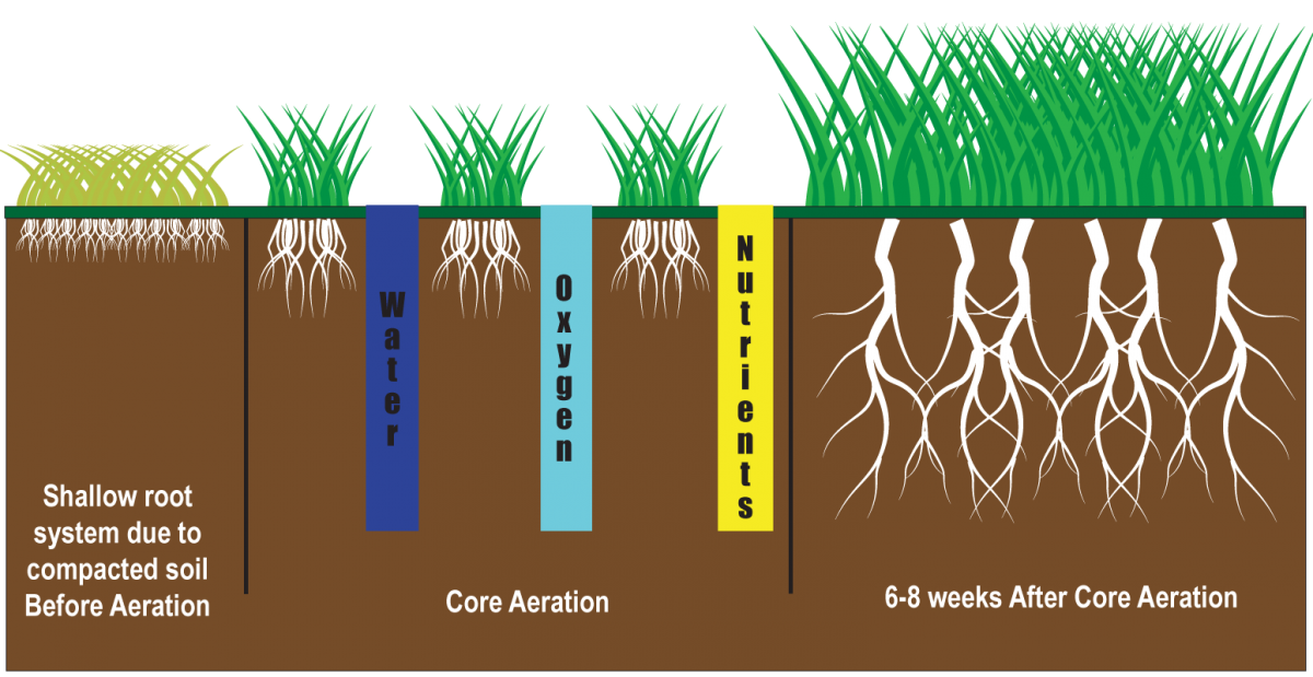 Core Aeration with Topdressing Better Home and Lawn
