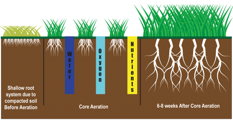 Core Aeration With Topdressing - Better Home And Lawn