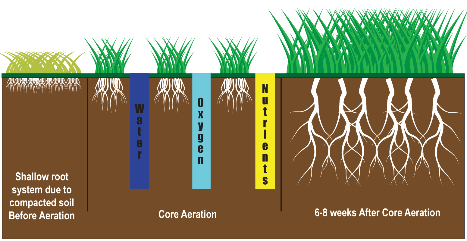 graph of the benefits of core aeration